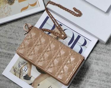 DIOR Handbags 1091